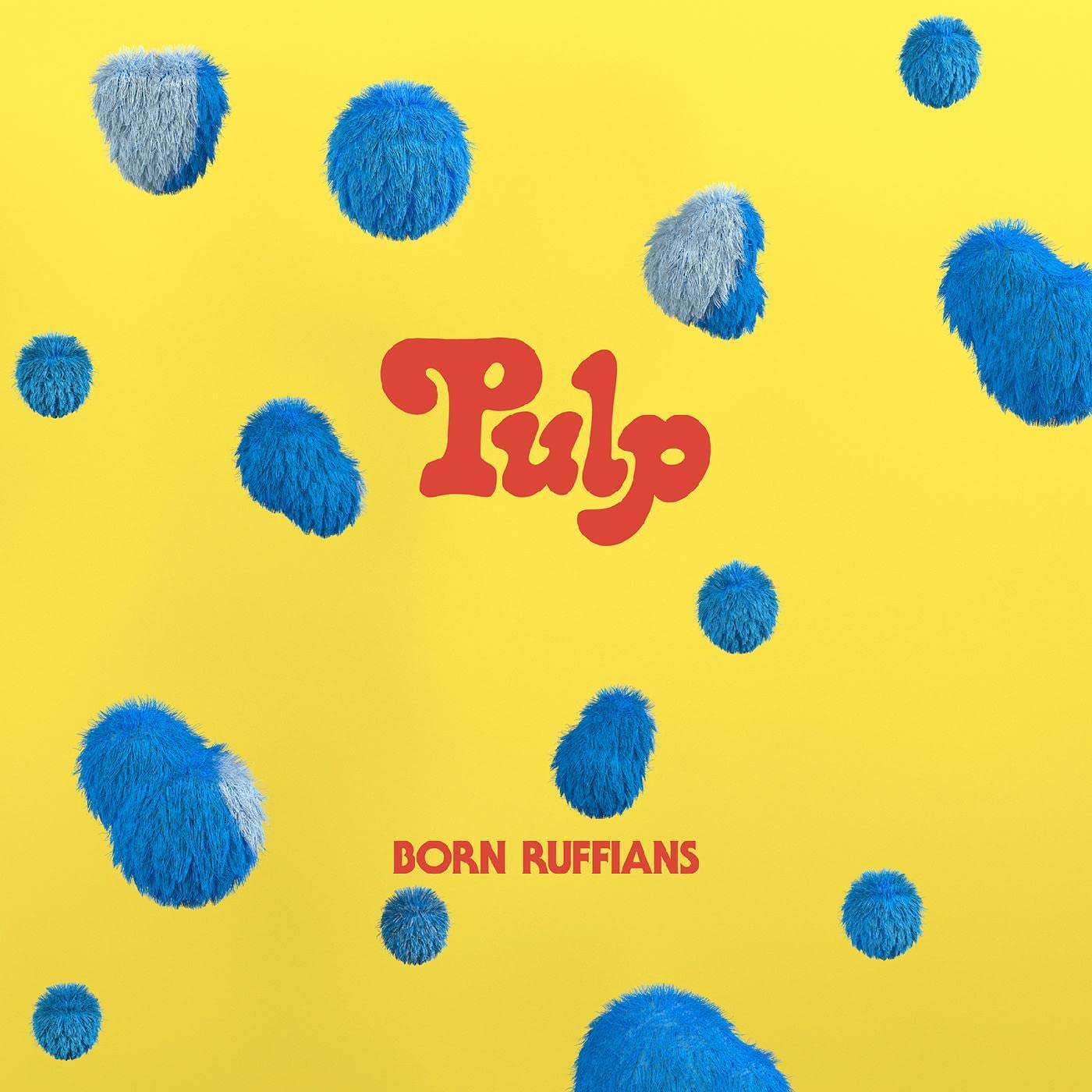Born Ruffians Pu Vinyl New Mint Rock