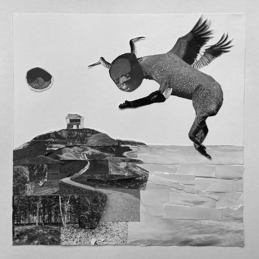 Romare Fantasy 2xVinyl New Mint Electronic