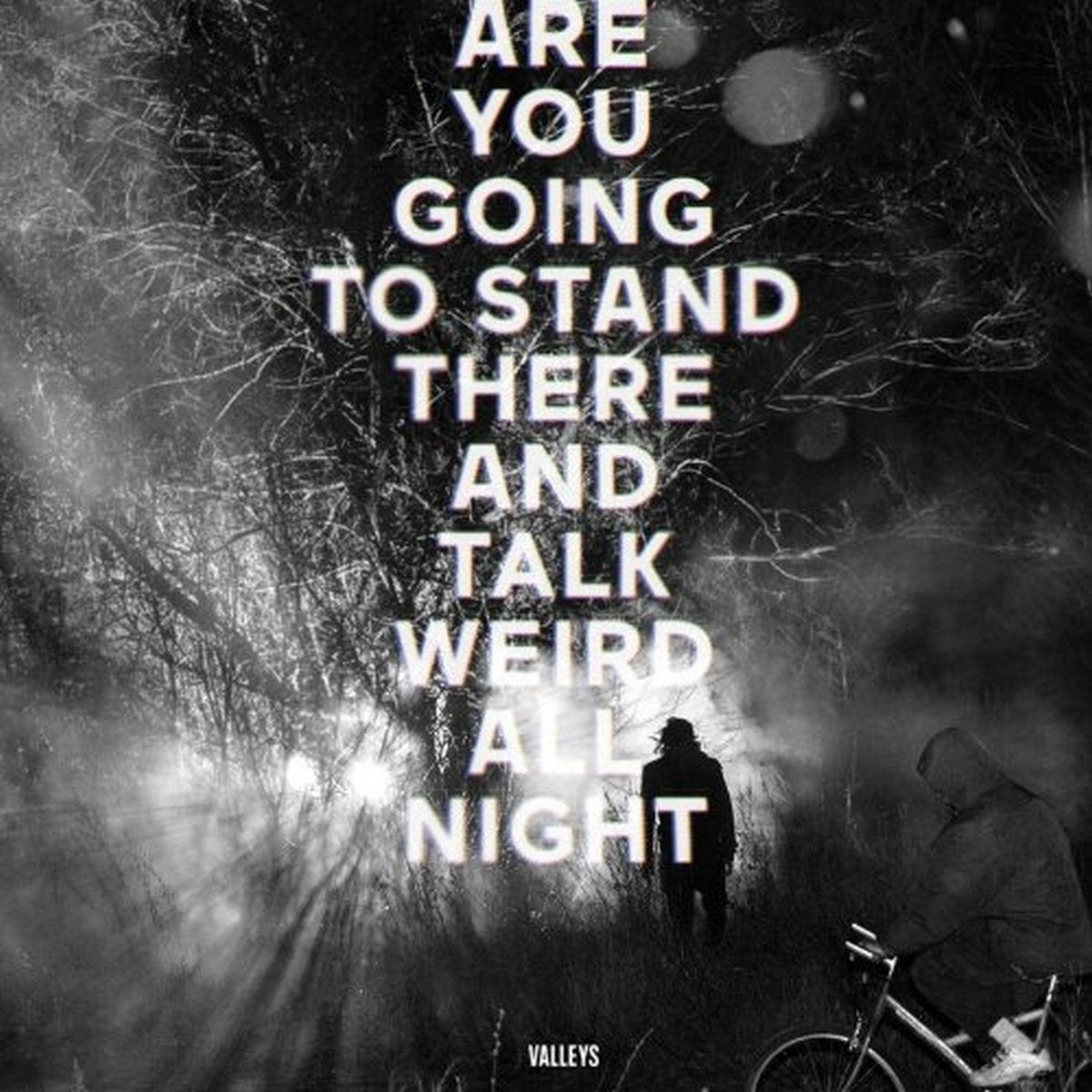 Valleys Are You Going To Stand There & CD New Mint Rock