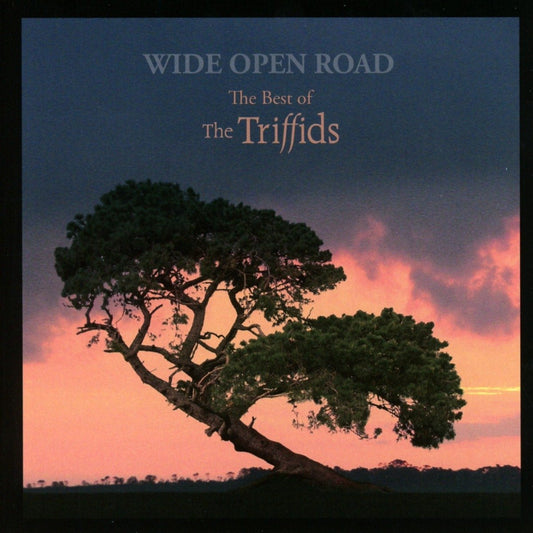 Triffids Wide Open Road: The Best Of The Triffids CD New Mint Rock