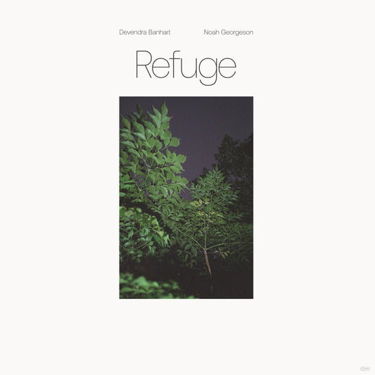 Devendra Banhart & Noah Georgeson Refuge 2xVinyl New Mint Alternative