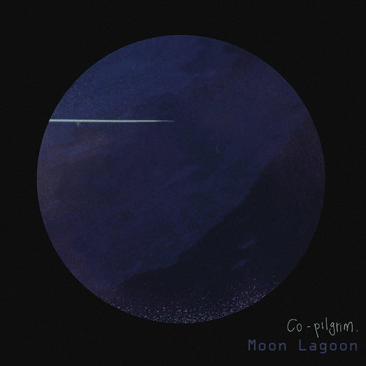 Co Pilgrim Moon Lagoon Vinyl New Mint Rock