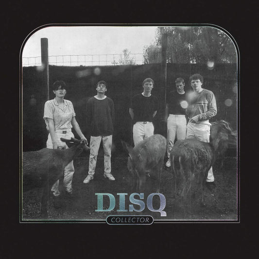 Disq Collector [] Vinyl New Mint Music