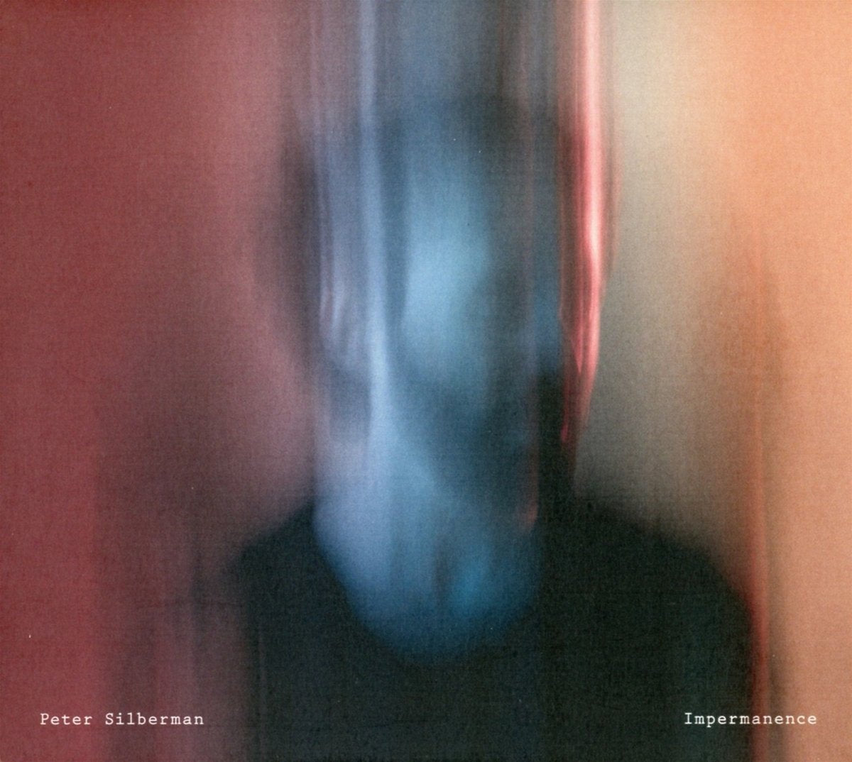 Silberman, Peter Impermanence CD New Mint Rock