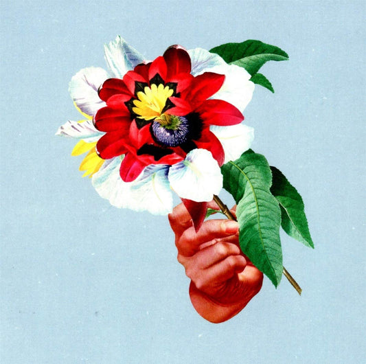 Maribou State Kingdoms In Colour CD New Mint Pop