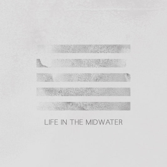 Aisha Burns Life In The Midwater CD New Mint Folk