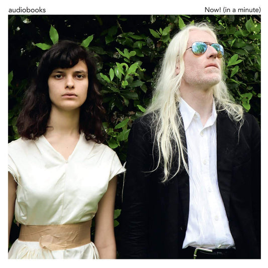 Audiobooks Now! 2xVinyl New Mint Music