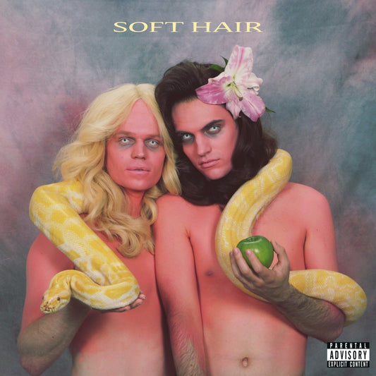 Soft Hair Soft Hair CD New Mint Rock