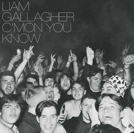 Liam Gallagher C’mon You Know Vinyl New Mint Rock