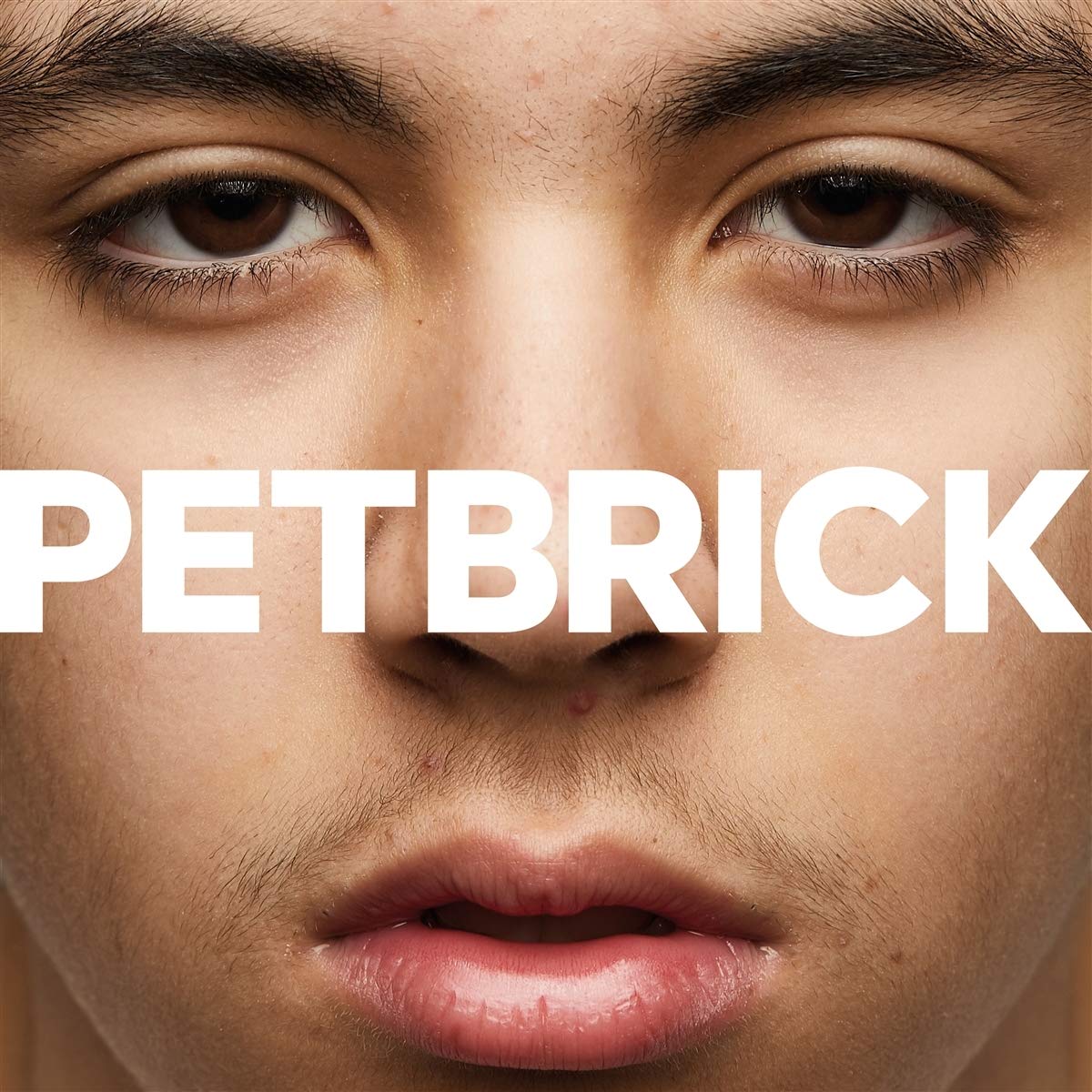 Petbrick I Vinyl New Mint Metal