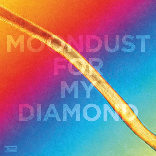 Hayden Thorpe Moondust For My Diamond Vinyl New Mint Rock