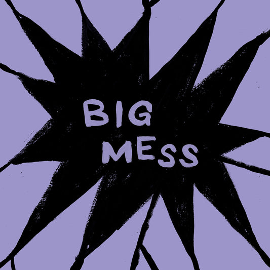 Public Body Big Mess Vinyl New Mint Punk
