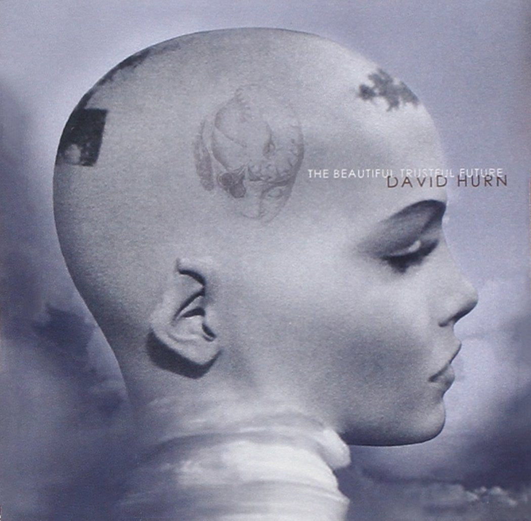 Hurn;david Beautiful Trustfulfuture CD New Mint Rock