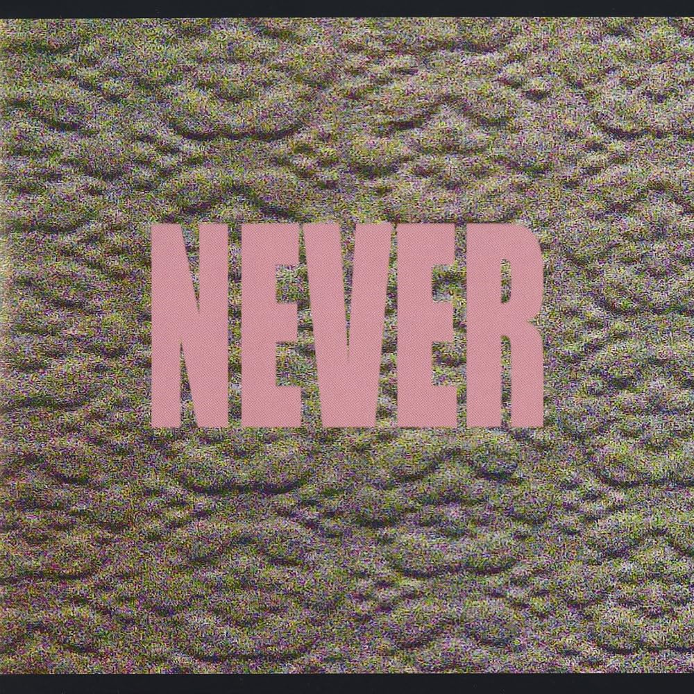 Micachu & Shapes Never CD New Mint Indie