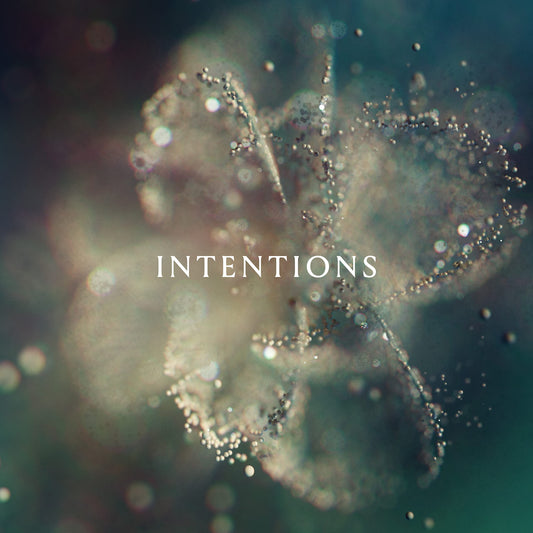 DJ Anna Intentions CD New Mint