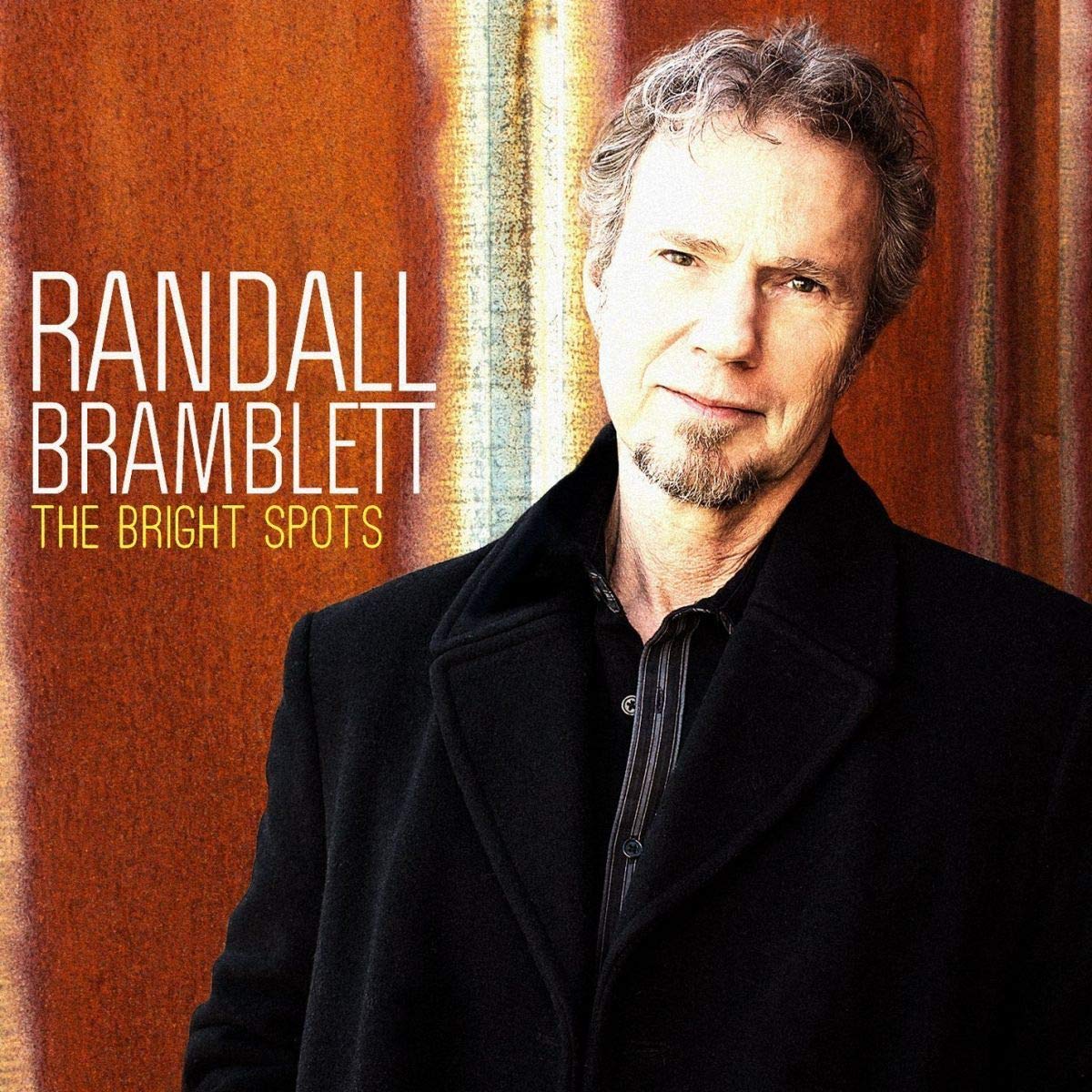 Randall Bramblett The Bright Spots 2xVinyl New Mint Pop