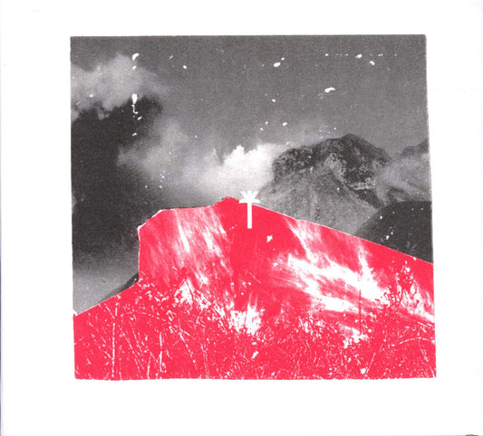 Wu Lyf Go Tell Fire To The Mountain CD New Mint Rock