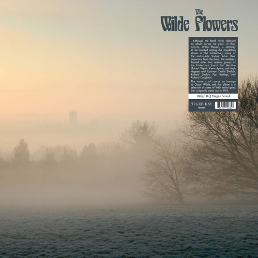Wilde Flowers The Wilde Flowers Vinyl New Mint Pop