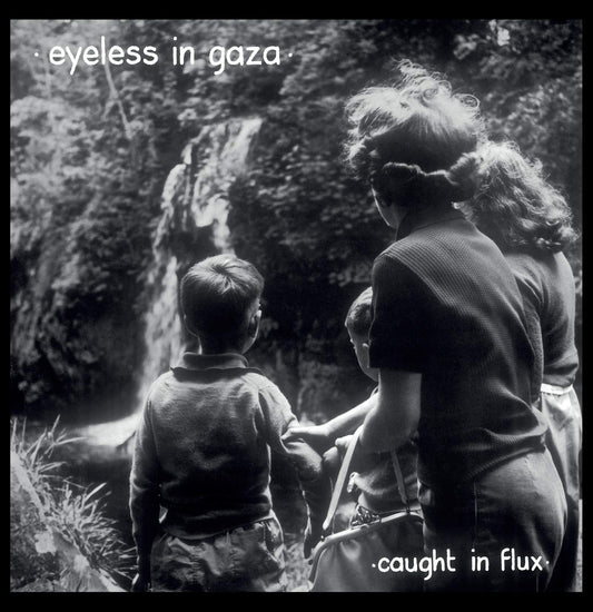Eyeless In Gaza Caught In Flux 2xVinyl New Mint Rock