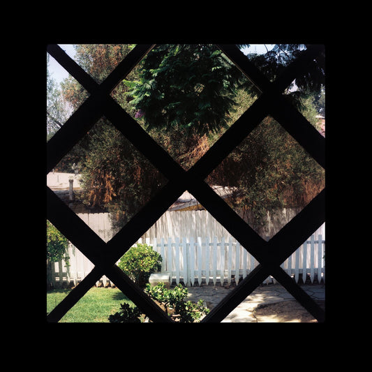 Psychic Temple III Vinyl New Mint Rock