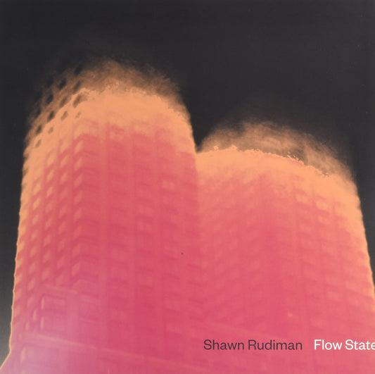 Shawn Rudiman Flow State 2xVinyl New Mint Electronic