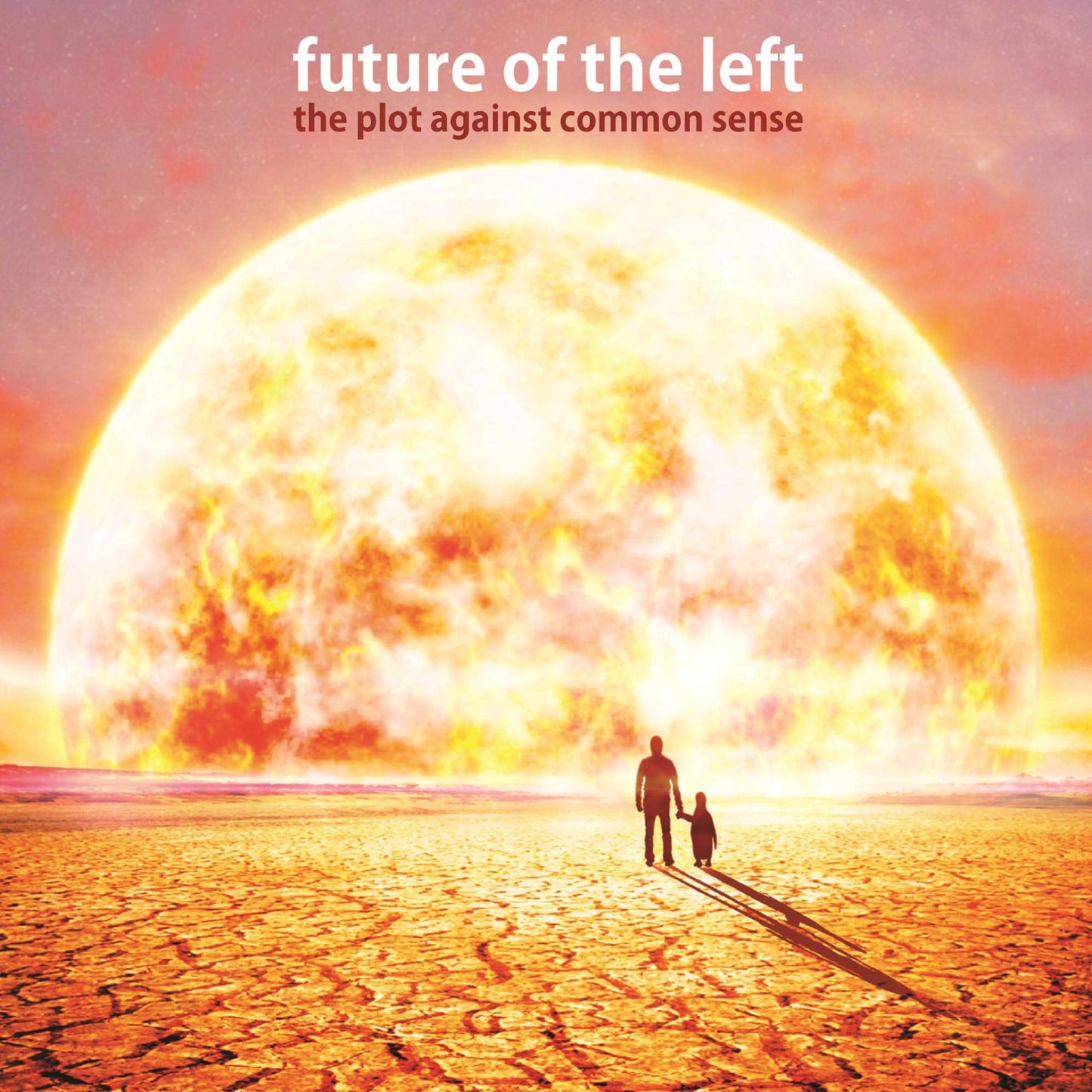 Future Of Left The Plot Against Common Sense CD New Mint Rock
