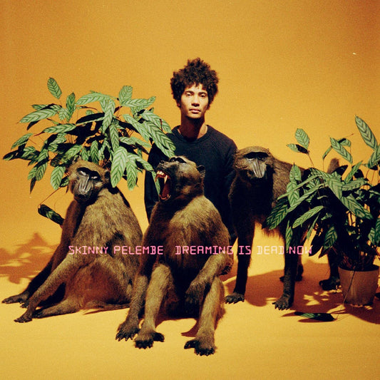 Skinny Pelembe Dreaming Is Dead Now Vinyl New Mint Electronic