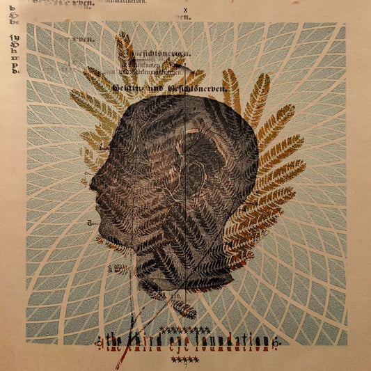 Third Eye Foundation Wake The Dead Vinyl New Mint Rock