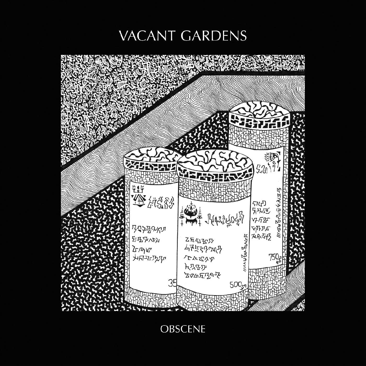 Vacant Gardens Obscene Vinyl New Mint Pop