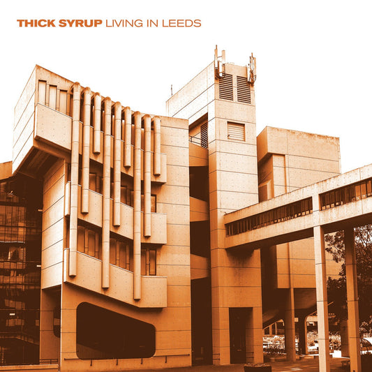 Thick Syrup Living In Leeds Vinyl New Mint Rock