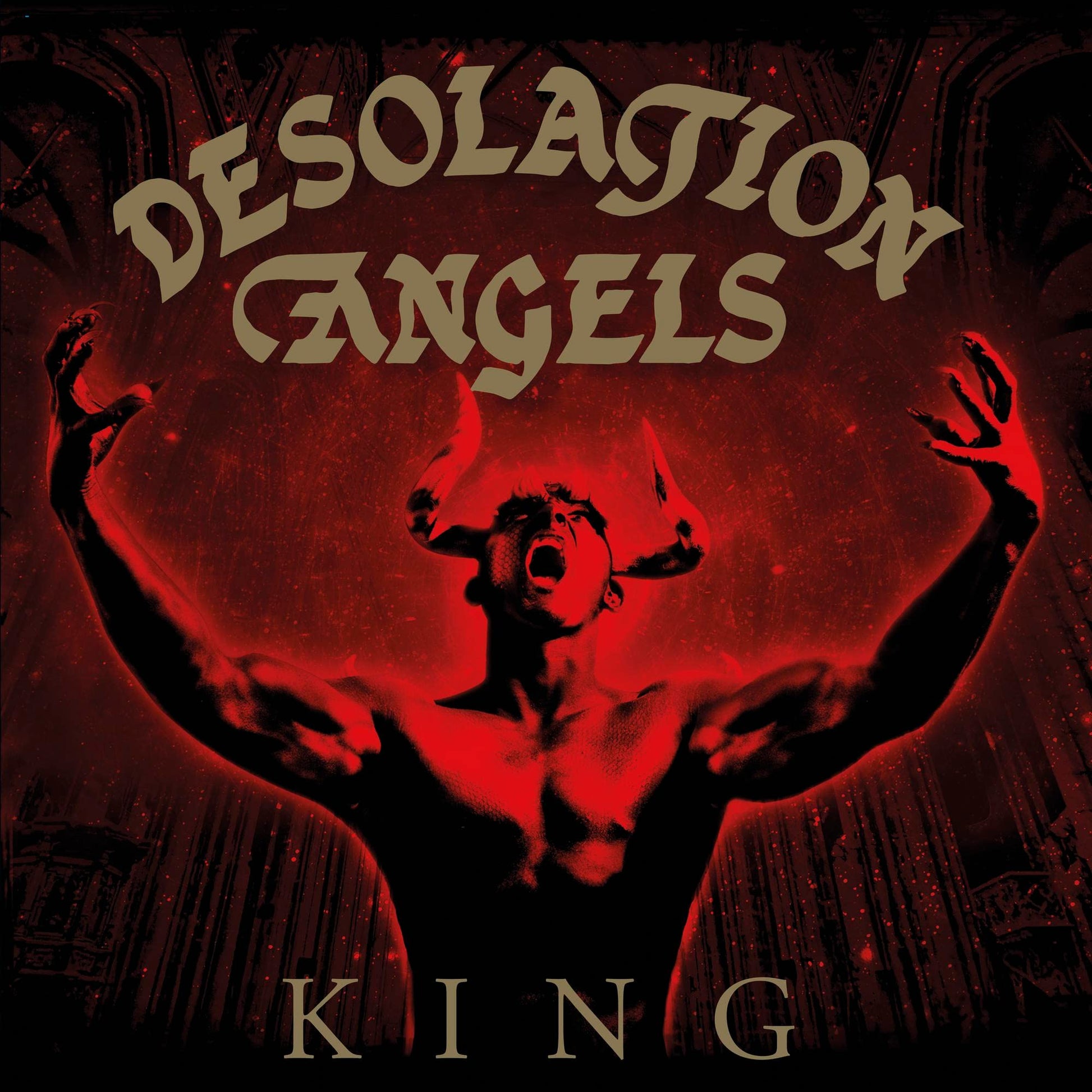 Desolation Angels King Vinyl New Mint Rock