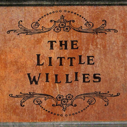 Norah Jones The Little Willies CD New Mint Country