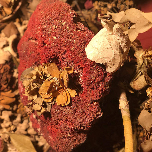 Sylph Silver As It Was Before Vinyl New Mint