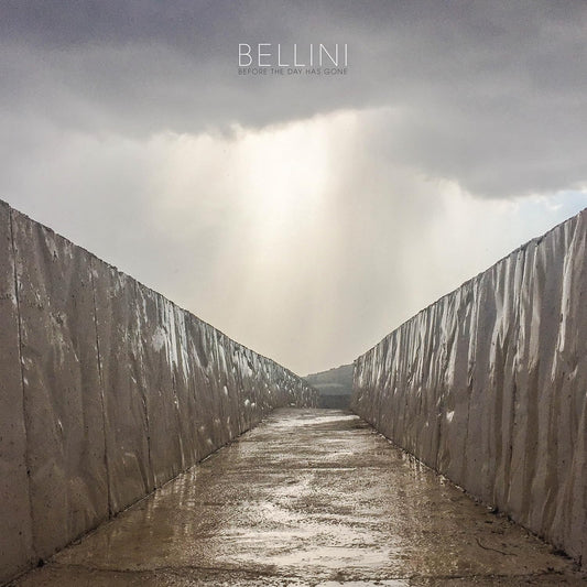 Bellini Before The Day Has Gone Vinyl New Mint Punk