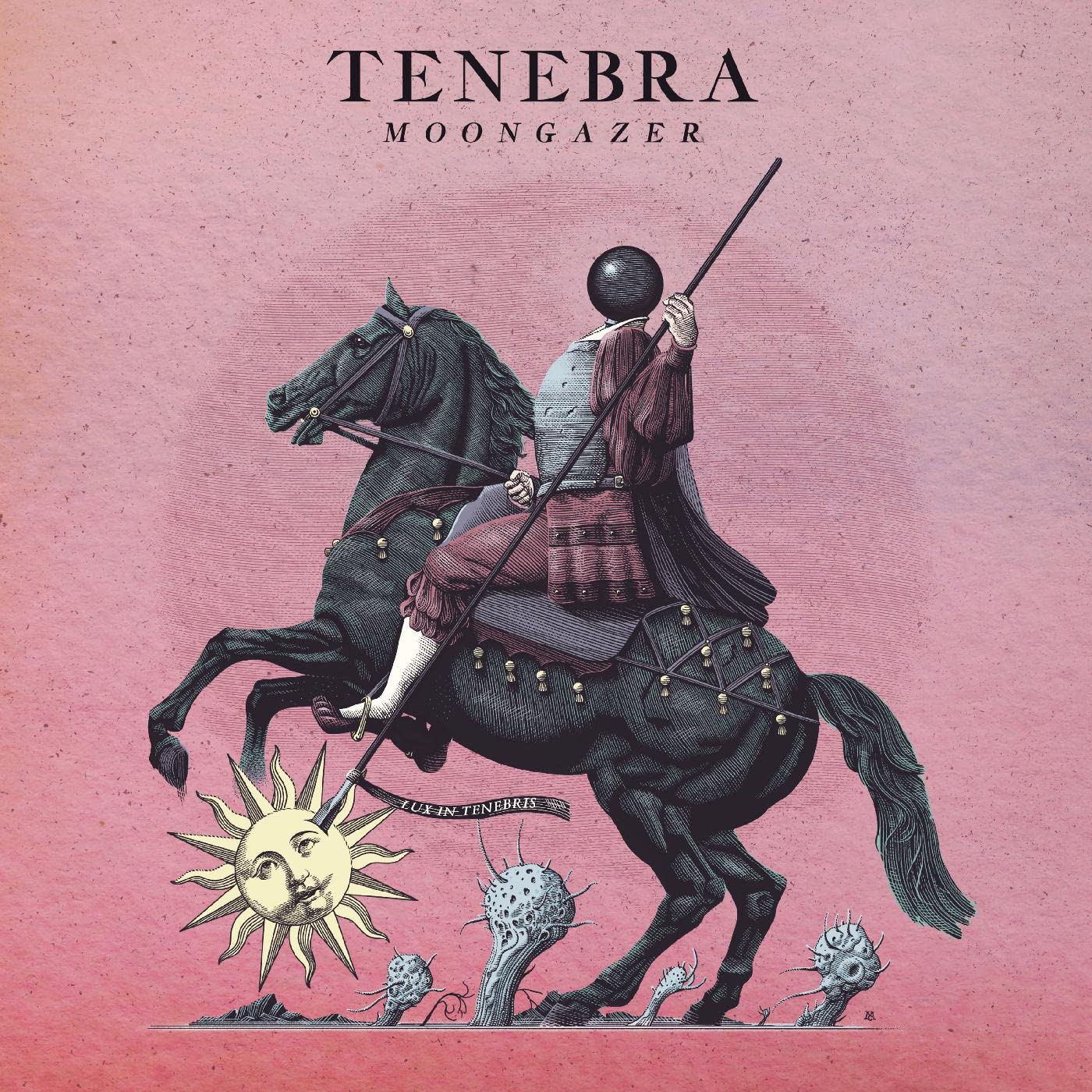 Tenebra Moongazer Vinyl New Mint Pop
