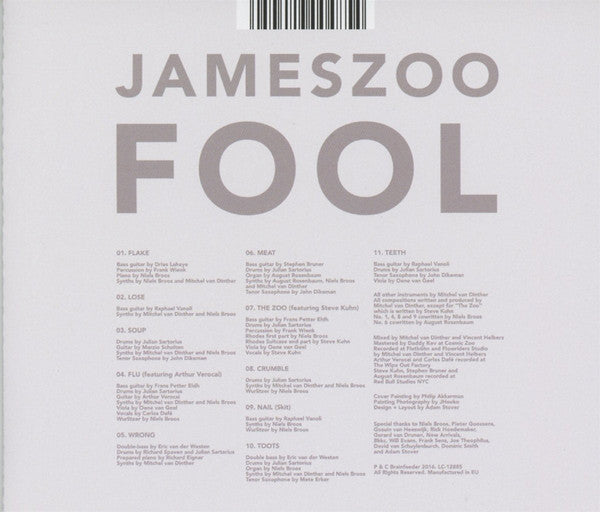Jameszoo : Fool (CD, Album)
