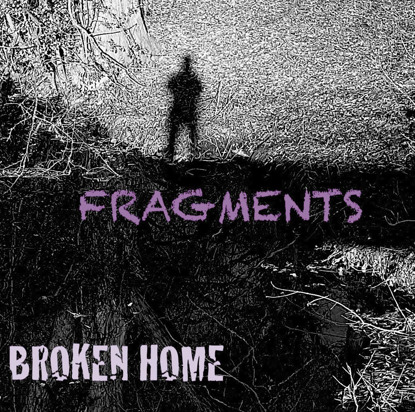 Broken Home Fragments CD New Mint Rock