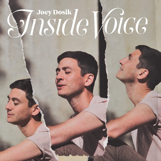 Joey Dosik Inside Voice CD New Mint
