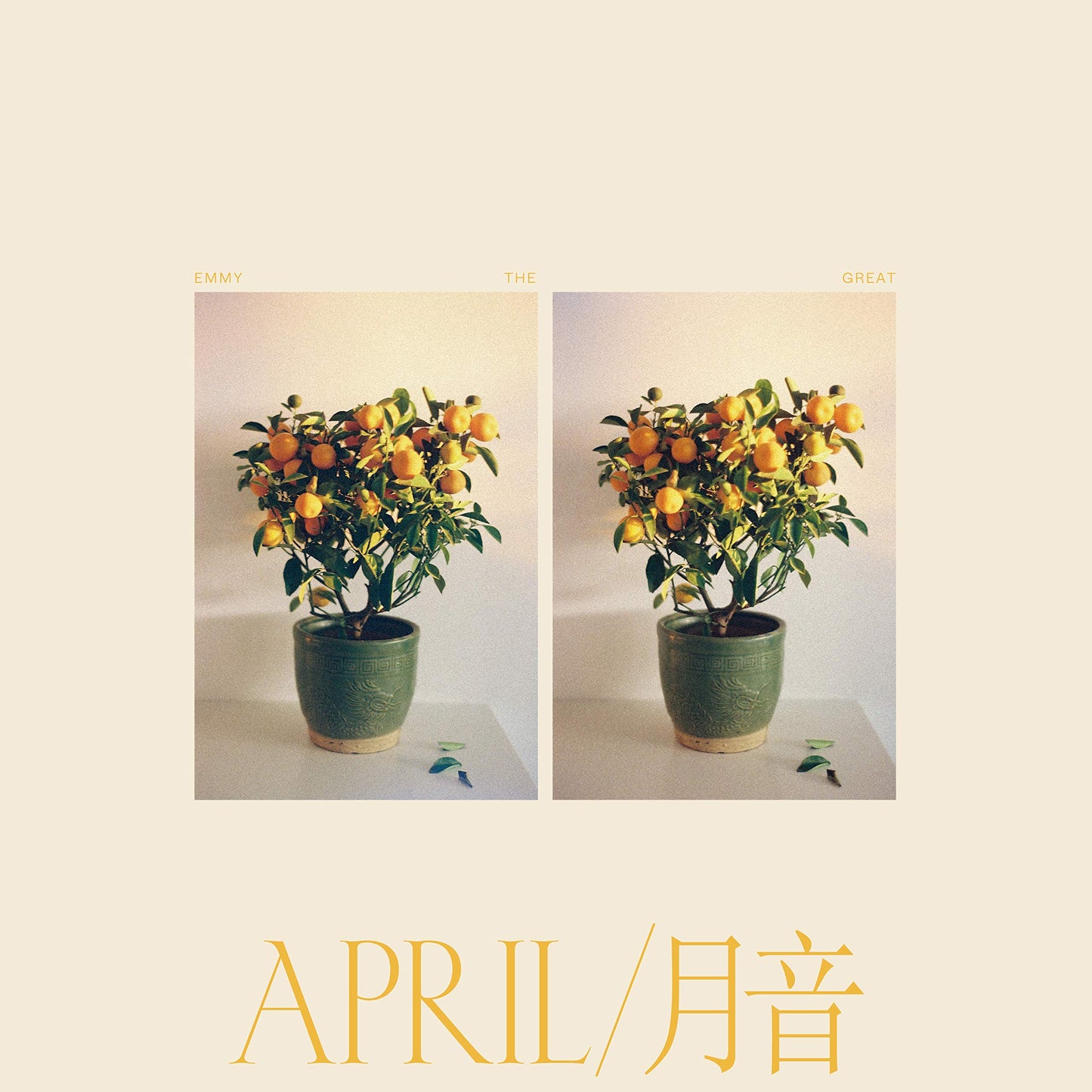 Emmy The Great April Vinyl New Mint Folk