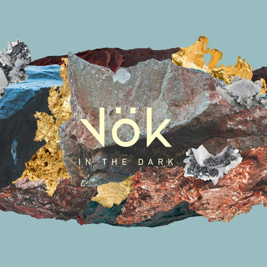 Vok In The Dark Vinyl New Mint Rock