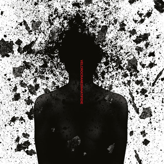 Velcrocranes What If I Die 2xVinyl New Mint Rock