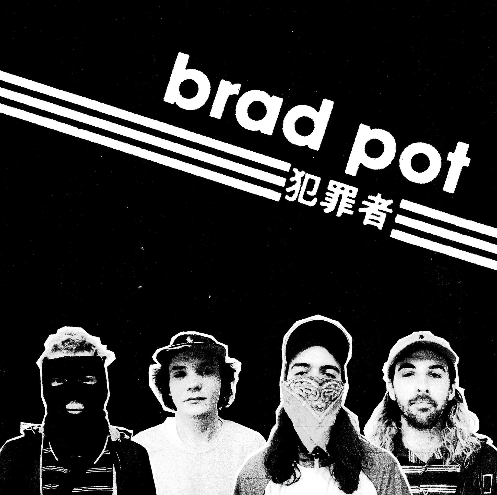 Brad Pot Brad Pot Vinyl New Mint Punk
