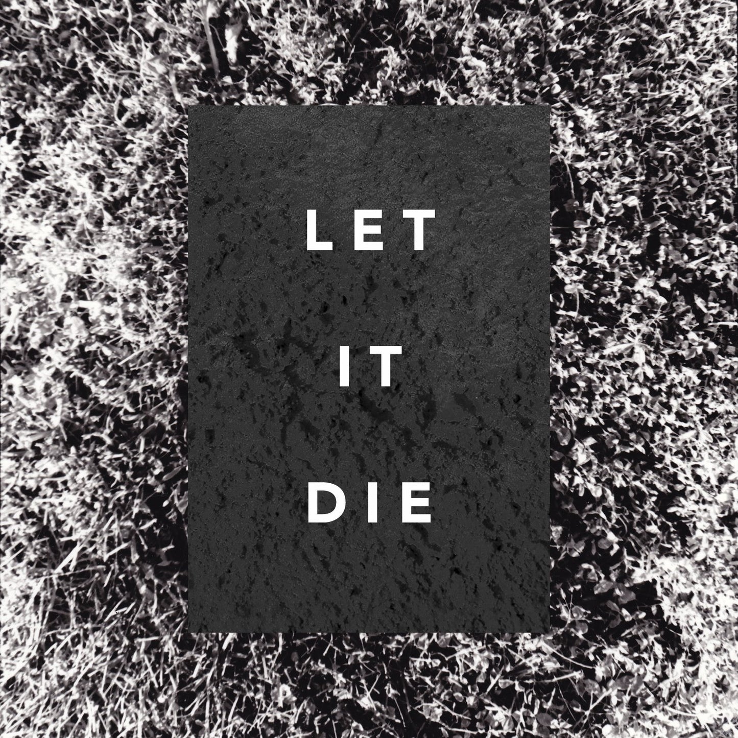 Shaky Hands The Let It Die Vinyl New Mint Rock