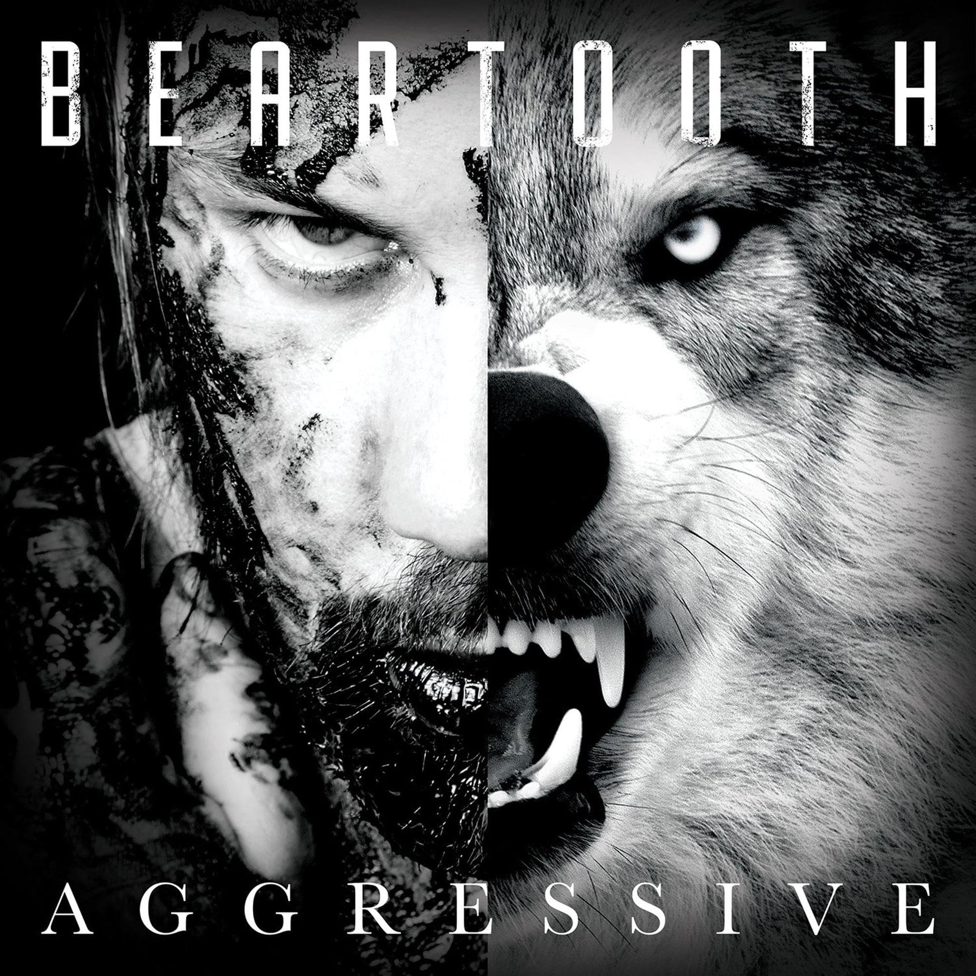 Beartooth Aggressive Vinyl New Mint Rock