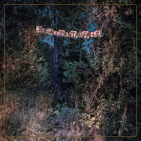 Eyelids The Accidental Falls CD New Mint Rock