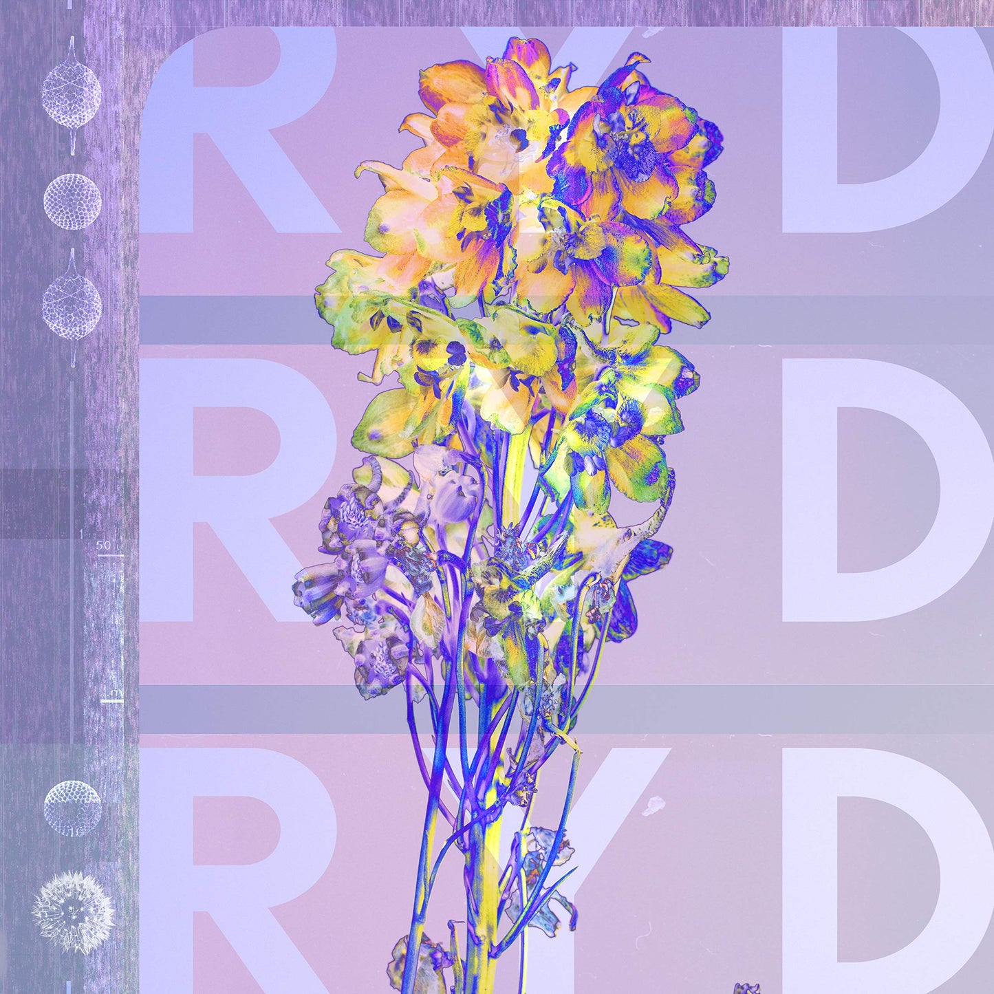 Ryd Ryd Vinyl New Mint Alternative