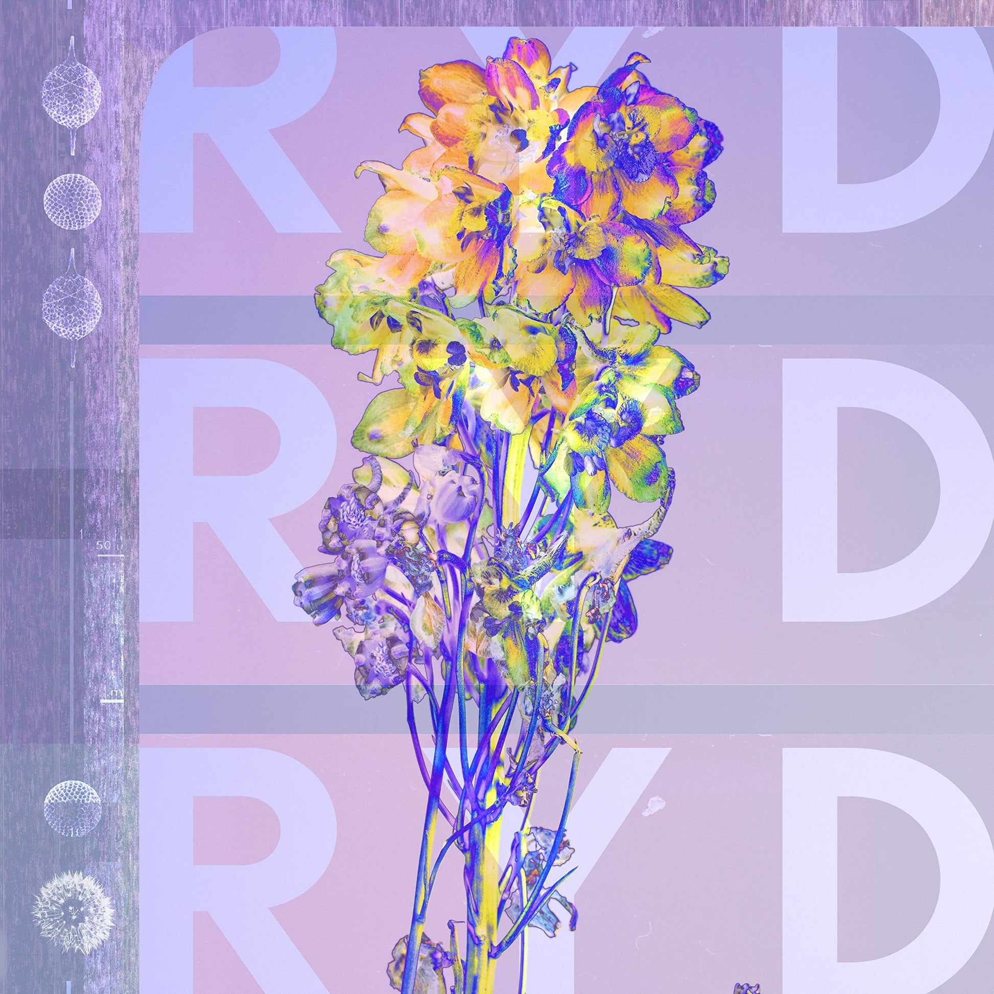 Ryd Ryd Vinyl New Mint Alternative