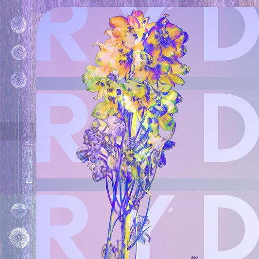 Ryd Ryd Vinyl New Mint Alternative