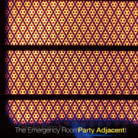 Dan Andriano In Emergency Room Party Adjacent Vinyl New Mint Rock