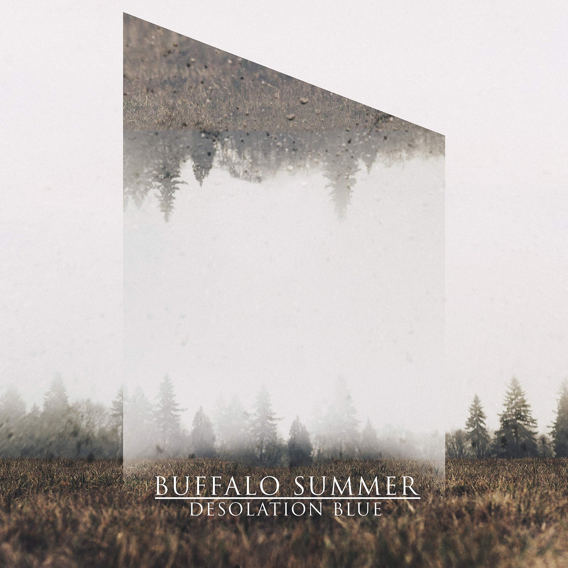 Buffalo Summer Desolation Blue CD New Mint Rock